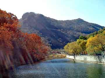 正新澳门二四六天天彩，山东冲孔板